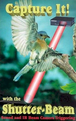 Shutter-Beam Catalog front