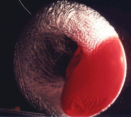 Balloon shortly after popping